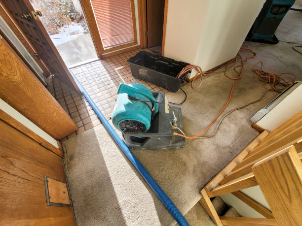 Best 24-hour water damage restoration  in Springmont, PA