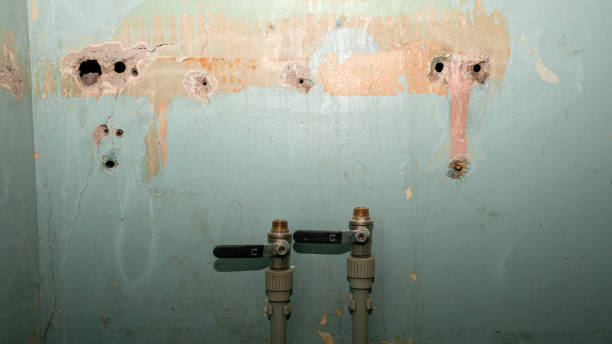 Best Professional water damage repair  in Springmont, PA