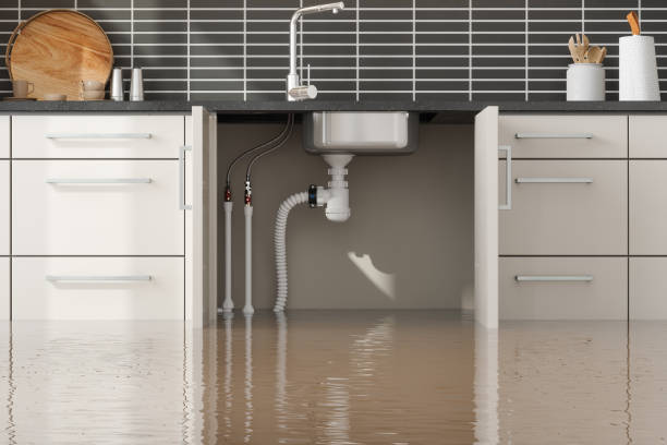Best Water damage restoration insurance claims  in Springmont, PA